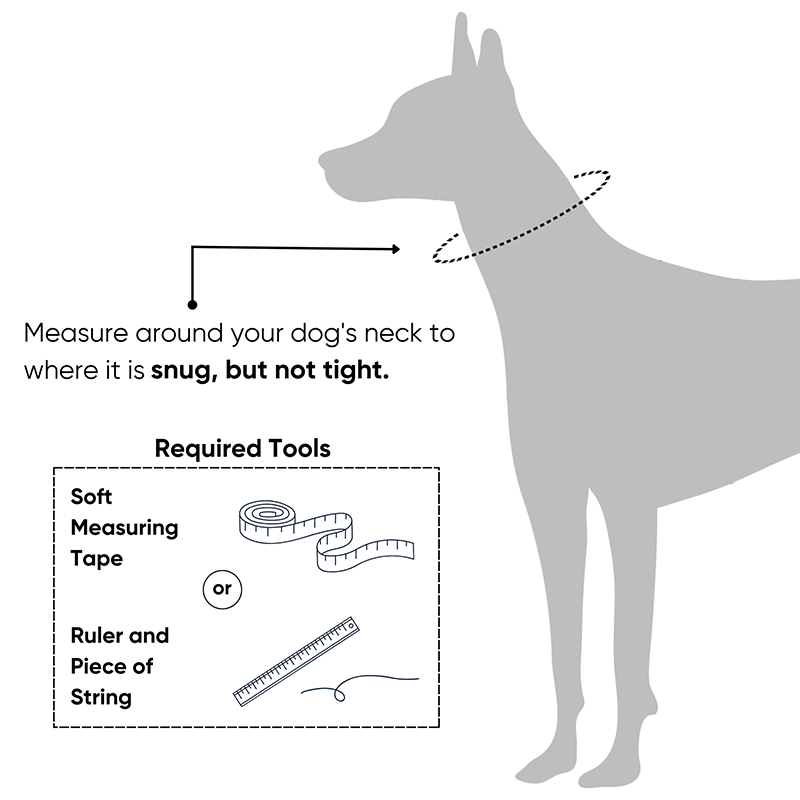 flat collar sizing guide
