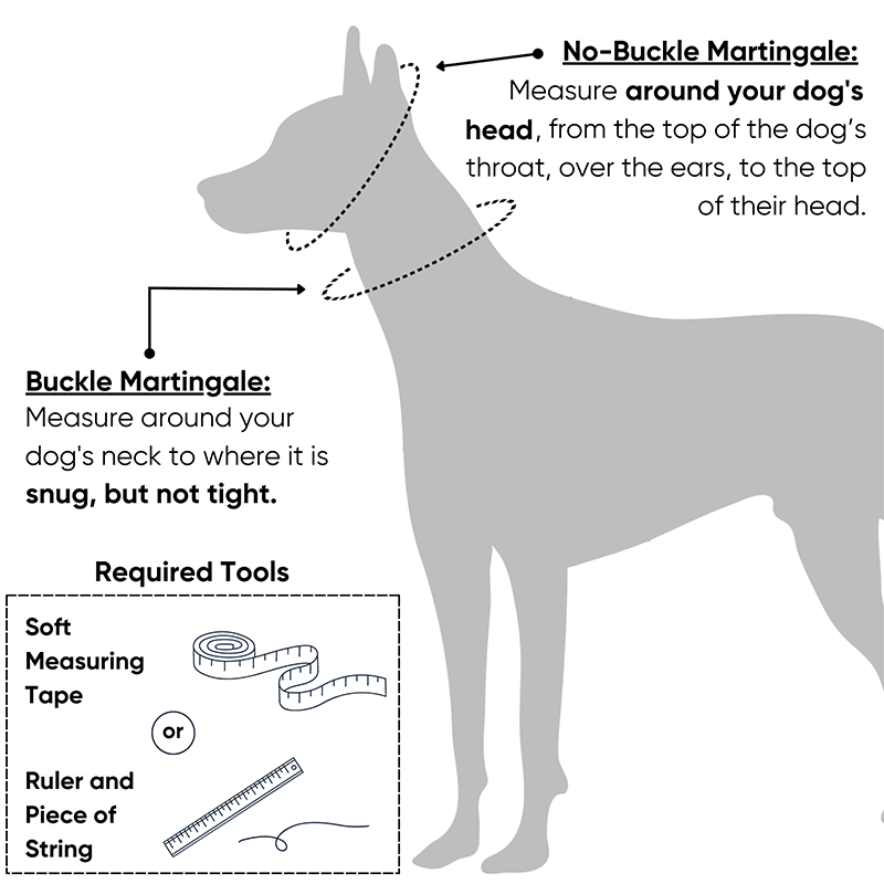 martingale sizing guide