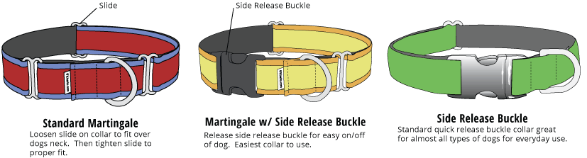 different dog collars